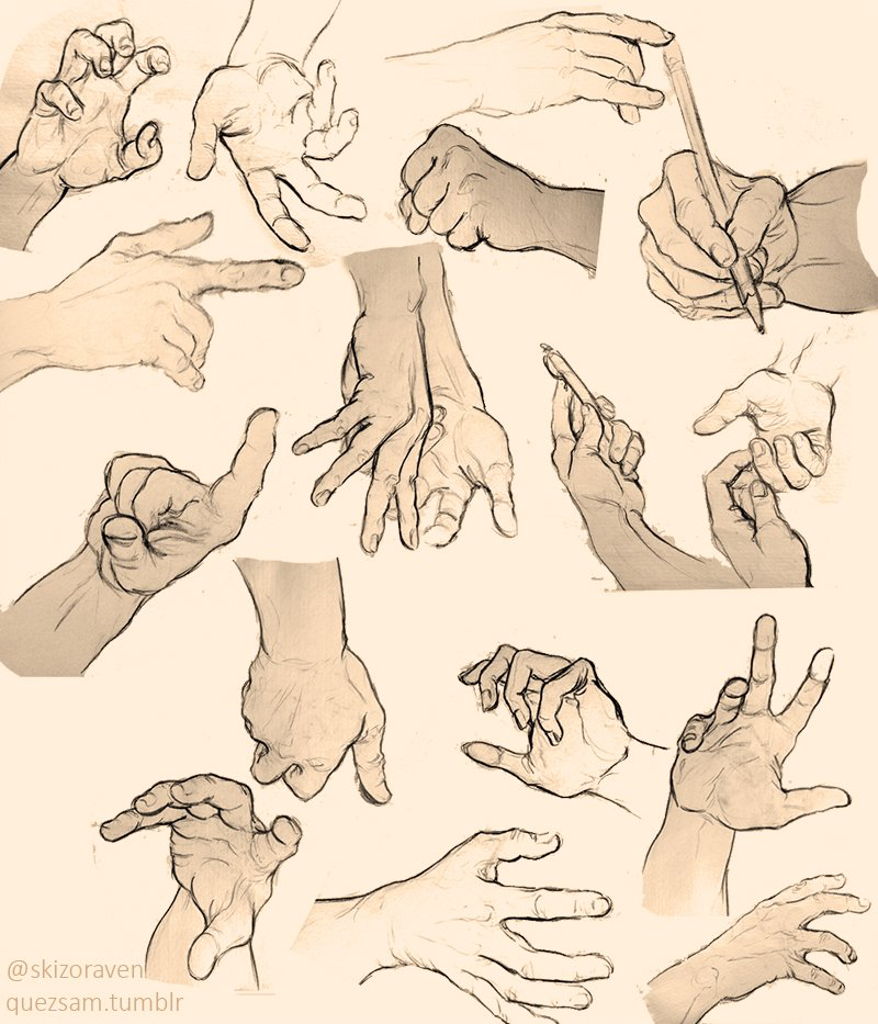 Hands Reference Drawing at GetDrawings | Free download