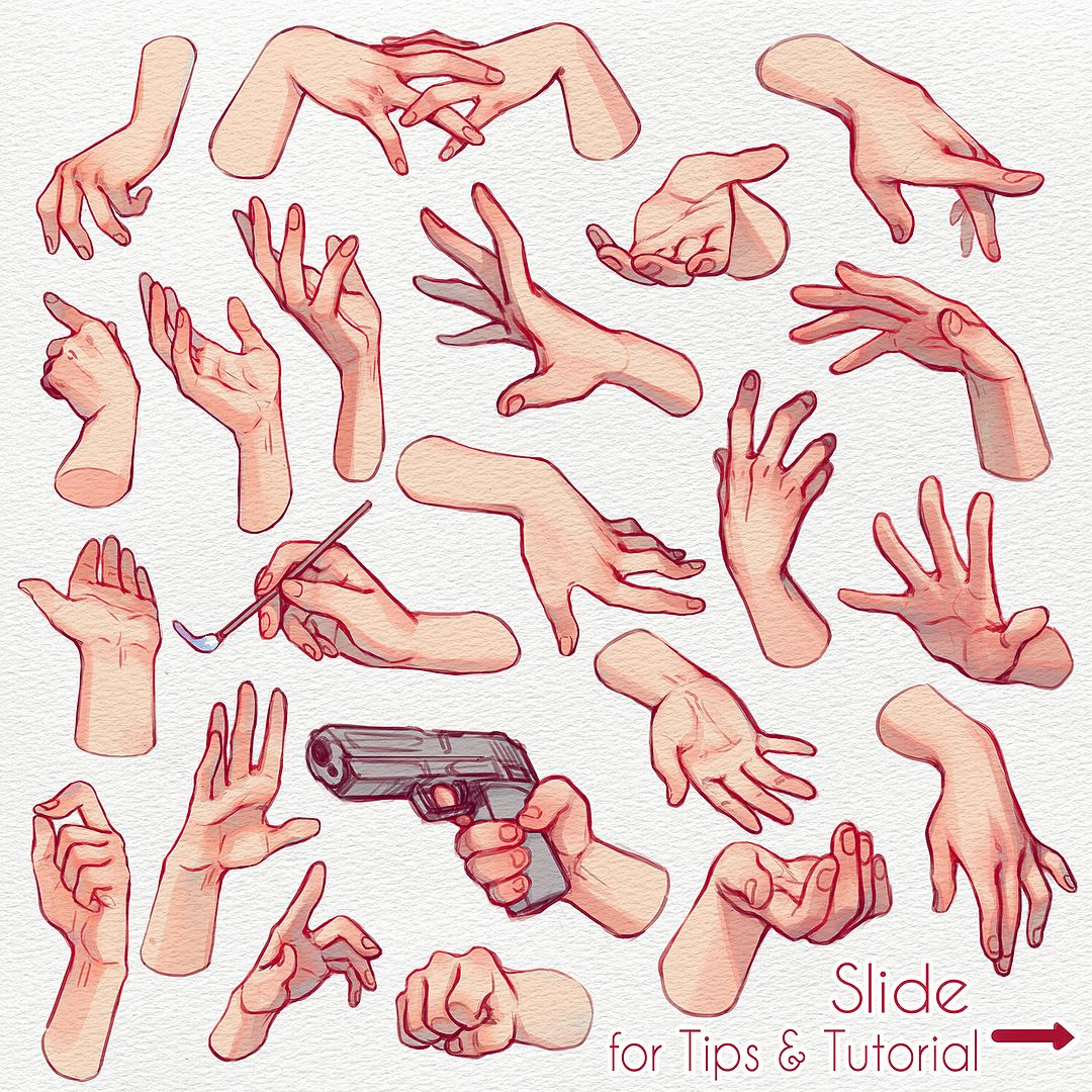 Hands Reference Drawing at GetDrawings Free download