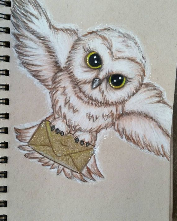 Harry Potter Owl Drawing at GetDrawings | Free download
