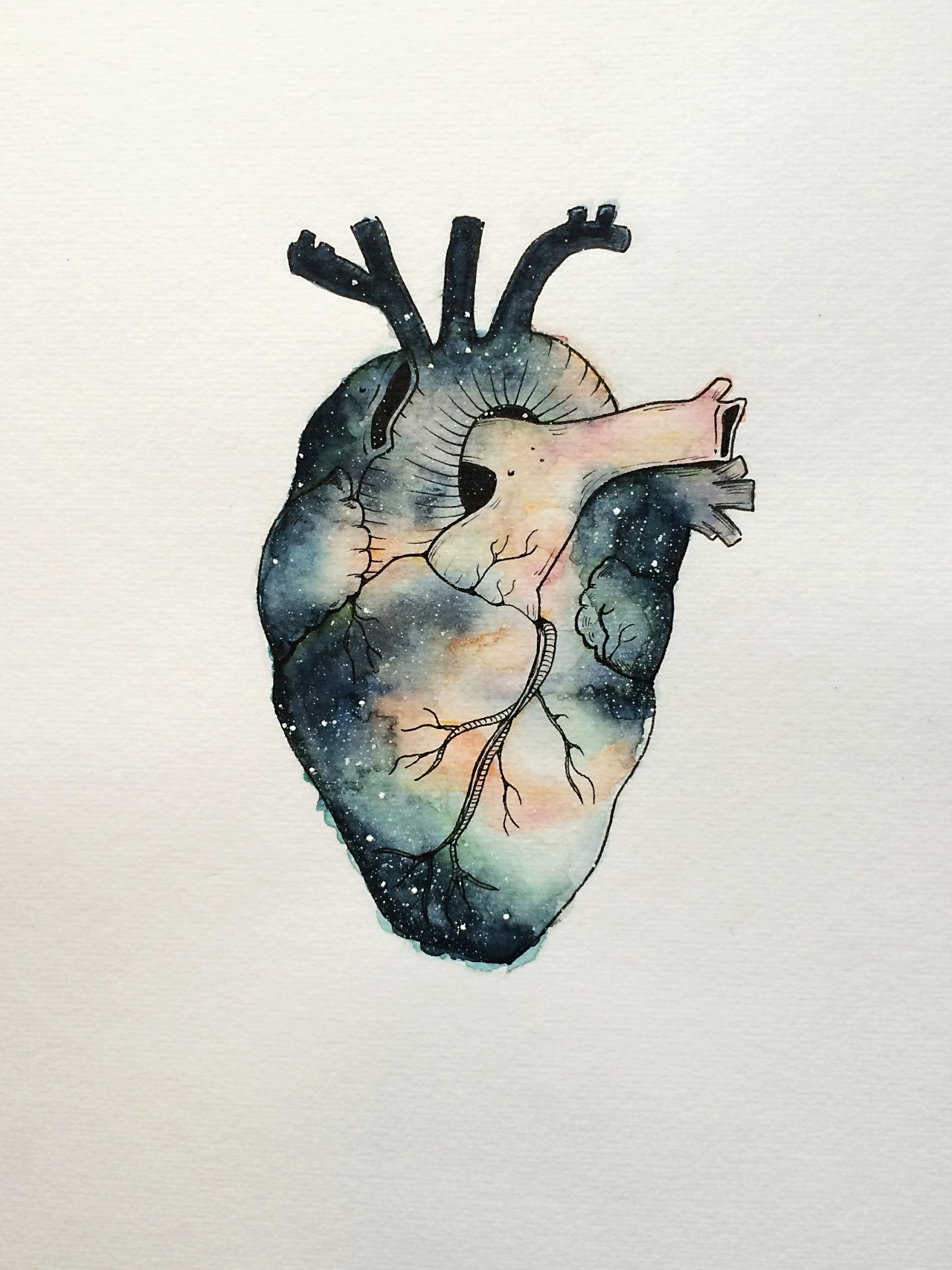 Heart Anatomy Drawing at GetDrawings | Free download