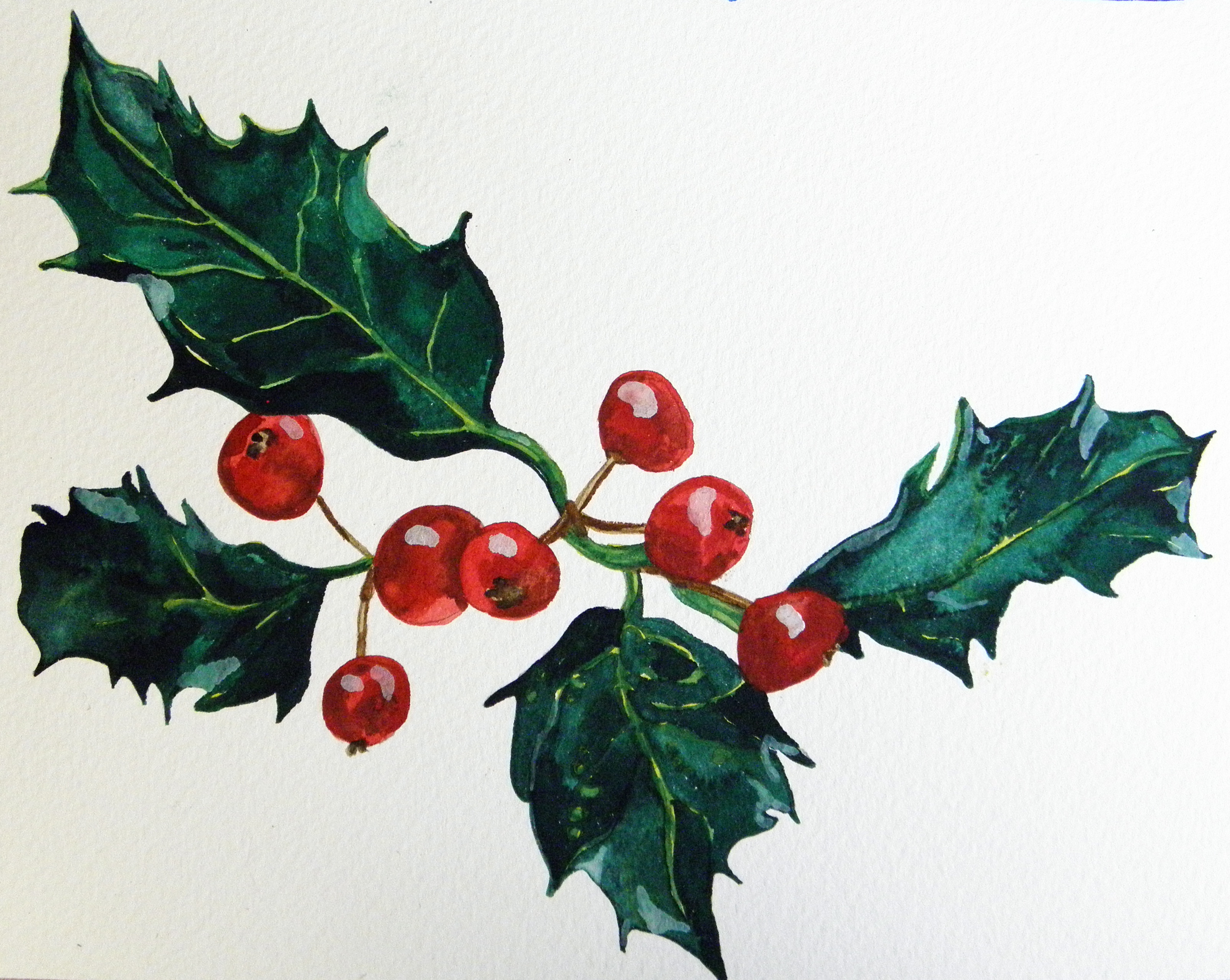 Holly Berries Drawing at GetDrawings Free download