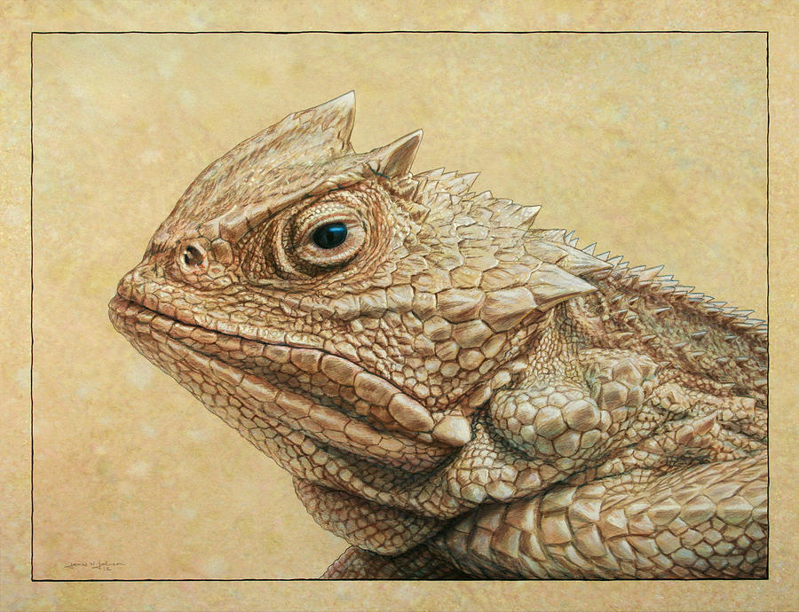 Horned Toad Drawing at GetDrawings Free download