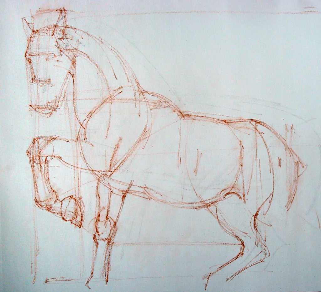 horse body drawing