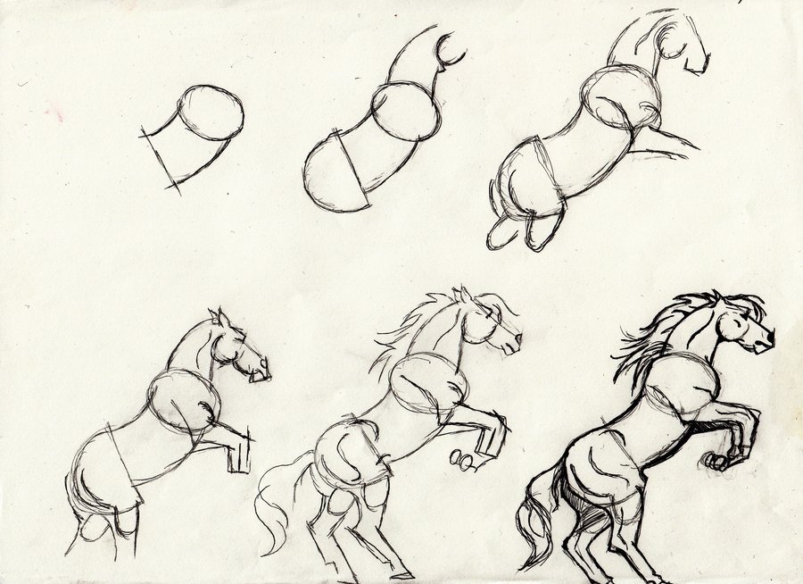 Horse Drawing Easy Step By Step at GetDrawings | Free download