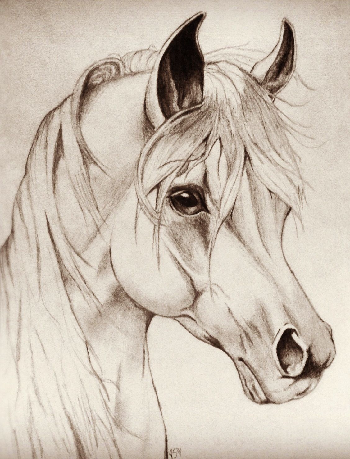 Horse Head Drawing Easy at GetDrawings | Free download