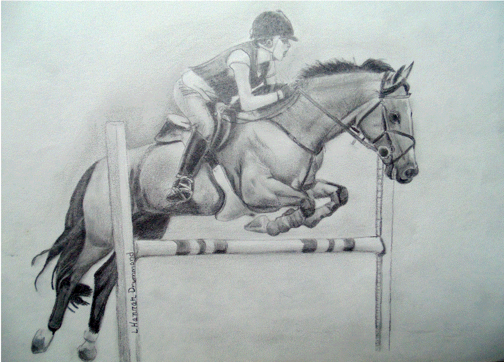 Horse Jumping Drawing at GetDrawings Free download