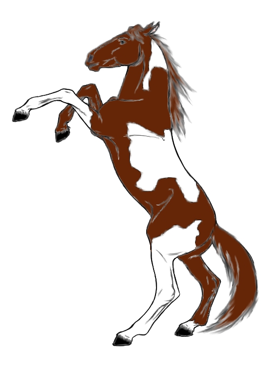 Amazing How To Draw A Horse Rearing Up in the year 2023 Learn more here 