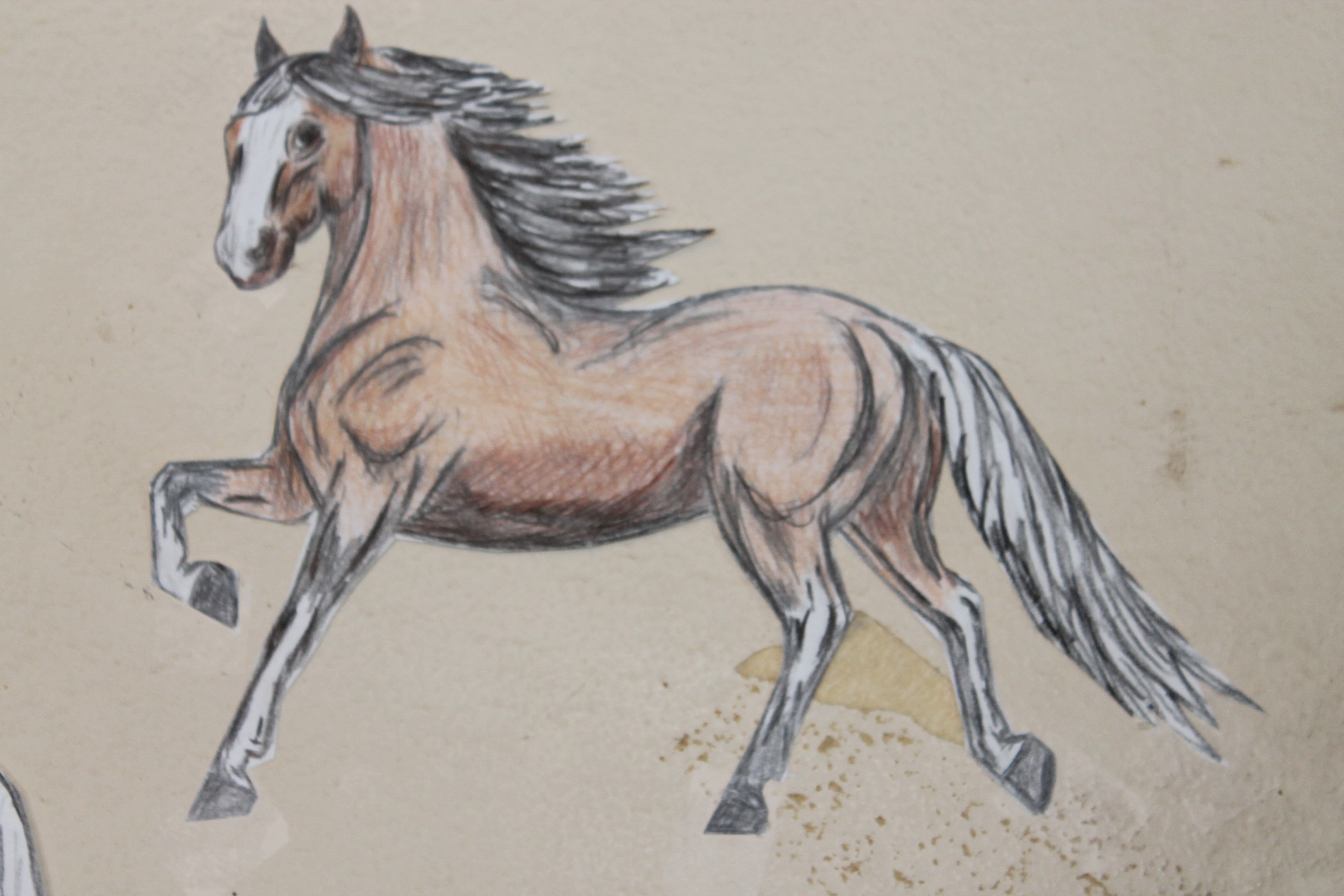 download horse drawing