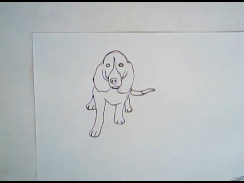 Hound Dog Drawing at GetDrawings | Free download