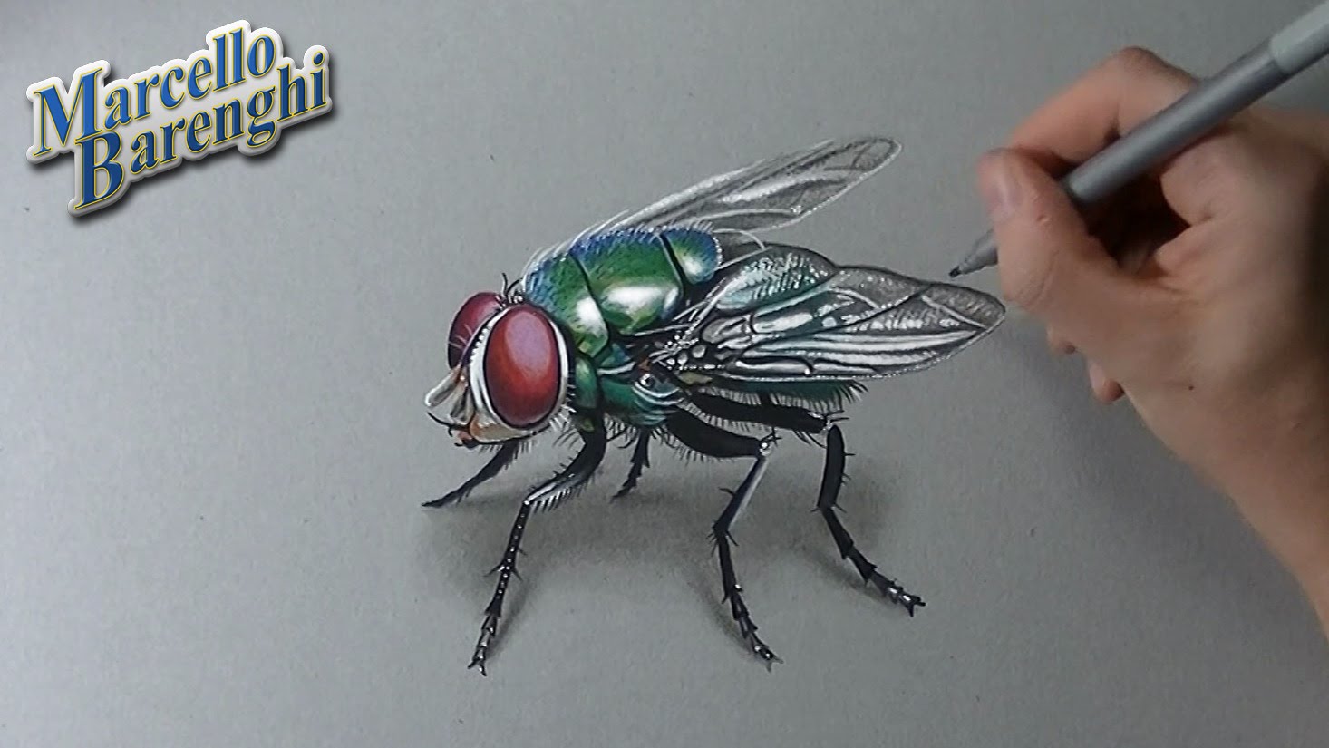 House Fly Drawing at GetDrawings Free download