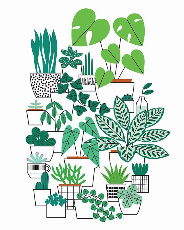 House Plant Drawing at GetDrawings Free download