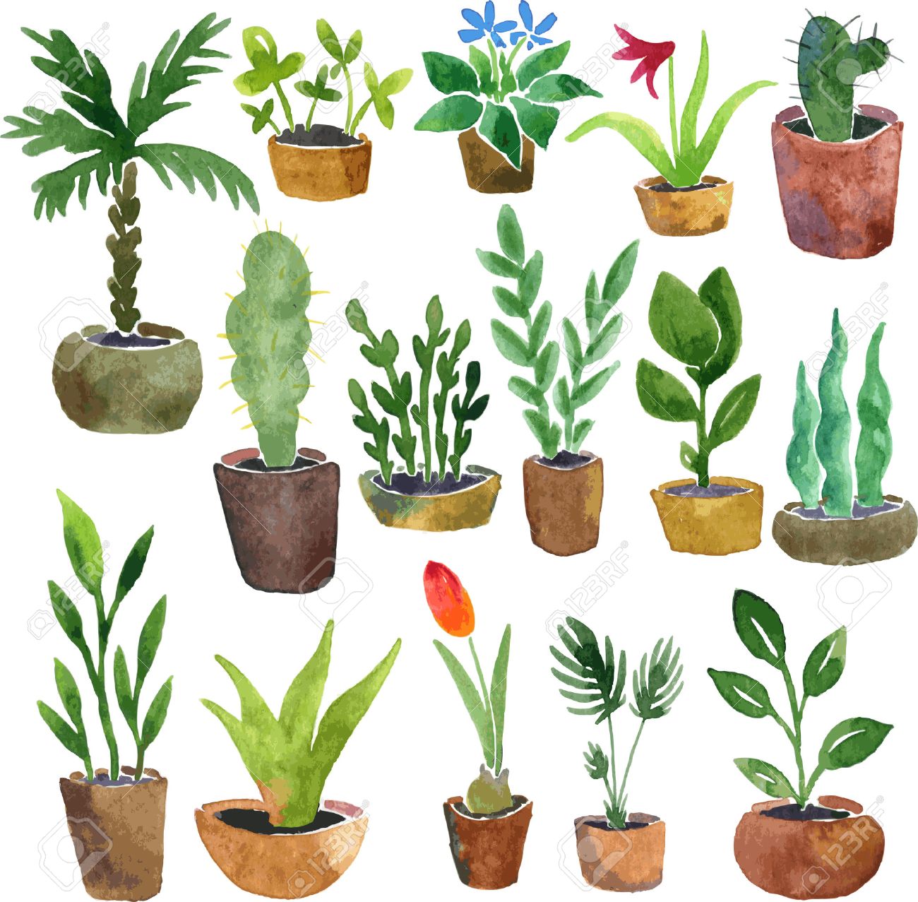 House Plant Drawing At GetDrawings Free Download