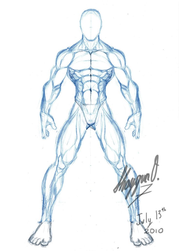 Featured image of post Muscular Male Body Drawing Reference