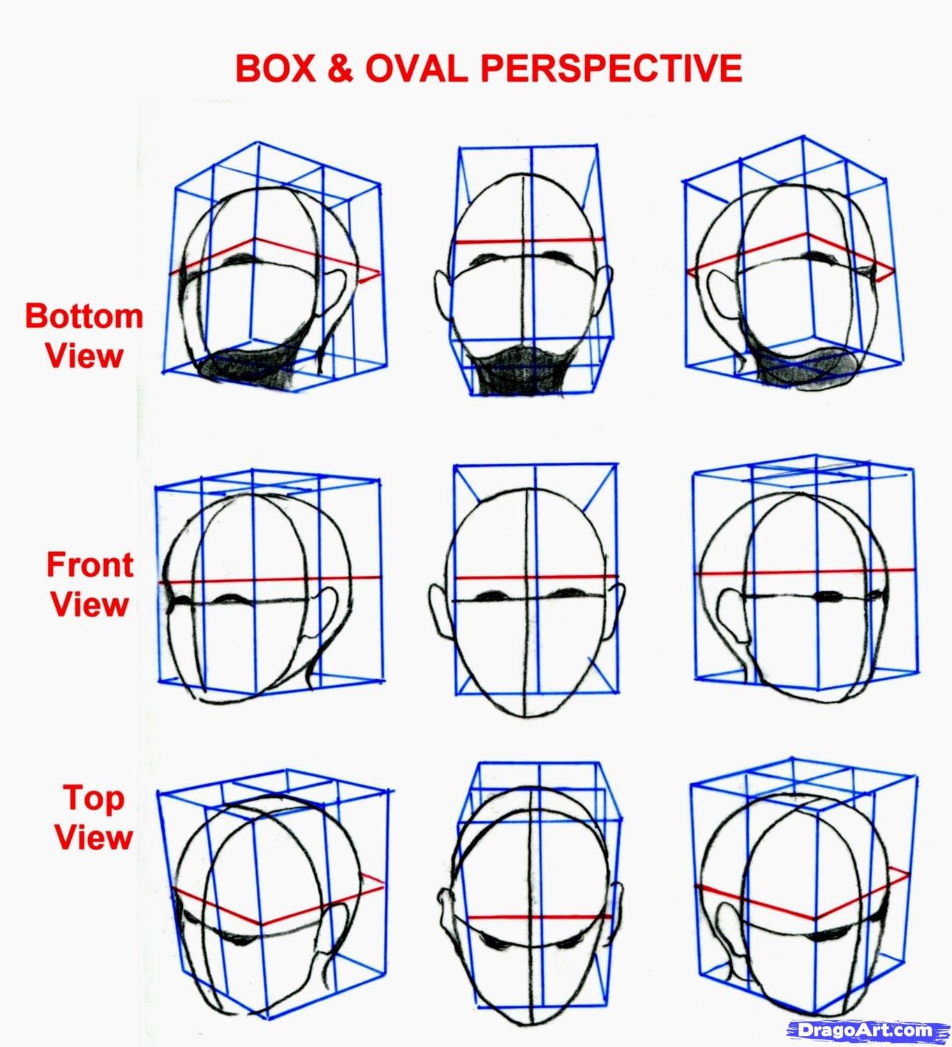 Human Perspective Drawing at GetDrawings Free download