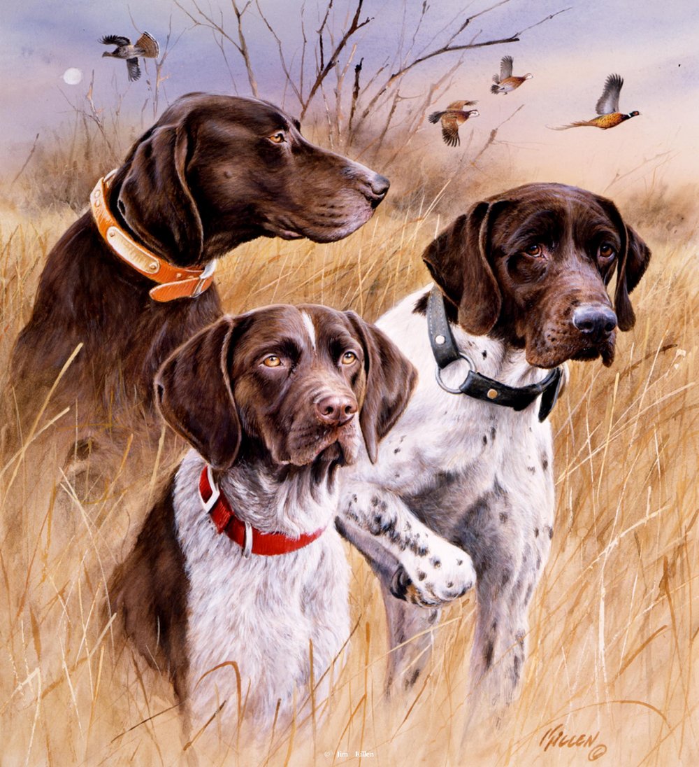 Hunting Dogs Drawing at GetDrawings Free download