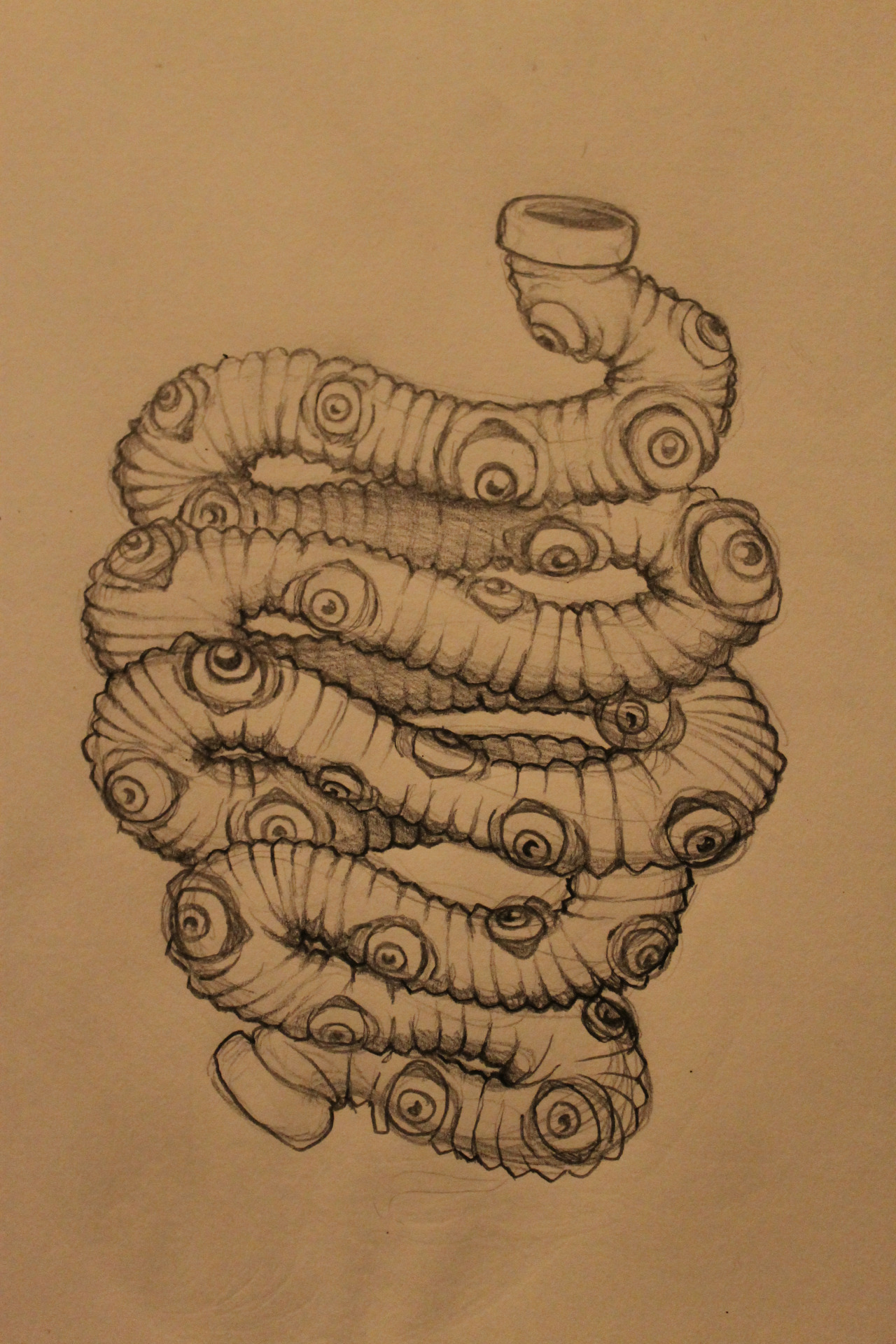 Intestines Drawing At GetDrawings | Free Download