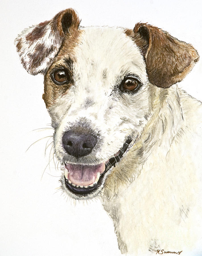 Jack Russell Terrier Drawing at GetDrawings Free download