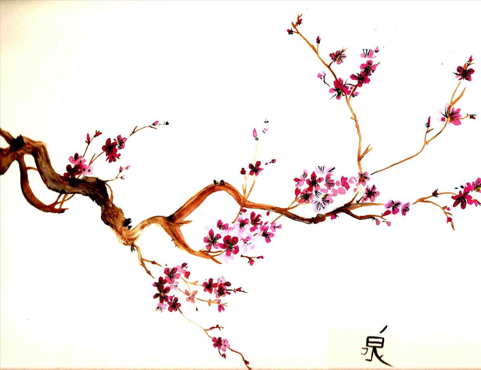 Japanese Cherry Blossom Drawing at GetDrawings | Free download