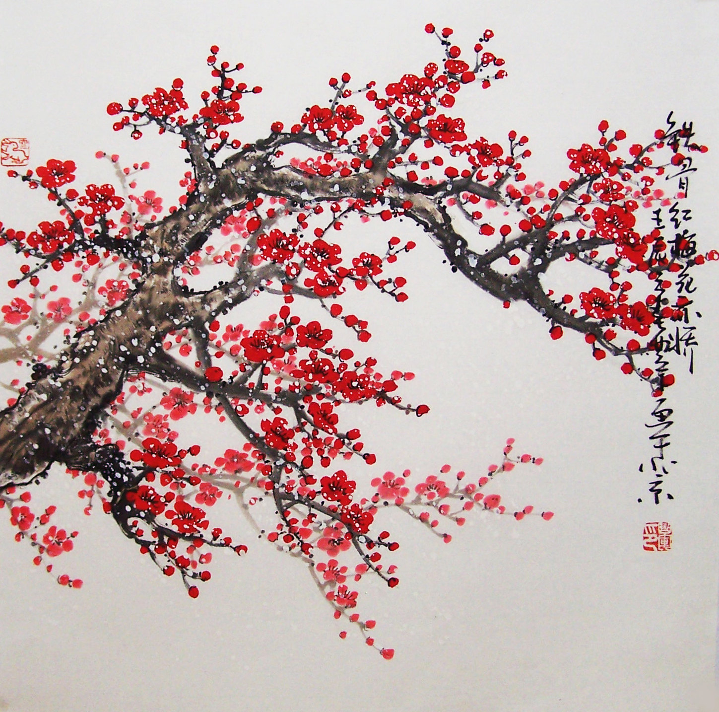 Asian plum blossom