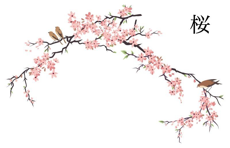 Japanese Cherry Blossoms Drawing at GetDrawings | Free download