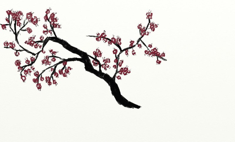 Japanese Cherry Tree Drawing at GetDrawings | Free download