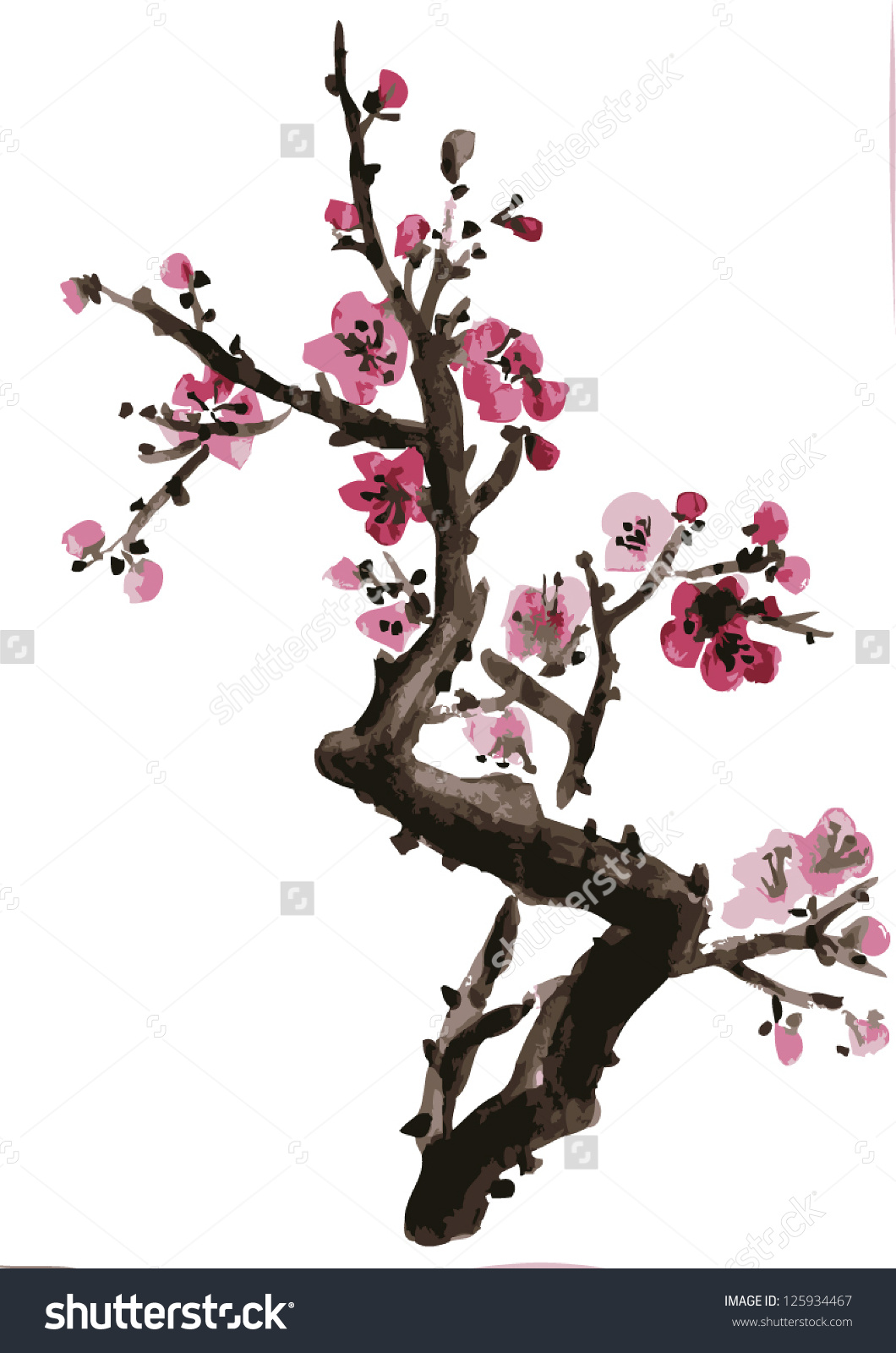 Japanese Cherry Tree Drawing at GetDrawings | Free download