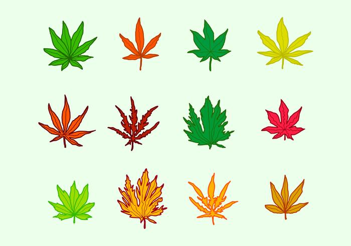 Japanese Maple Leaf Drawing at GetDrawings | Free download