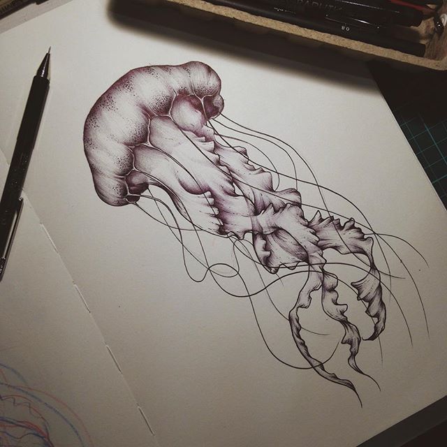 Jellyfish Tattoo Drawing at GetDrawings Free download