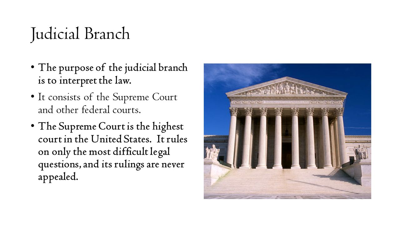 judicial-branch-drawing-at-getdrawings-free-download