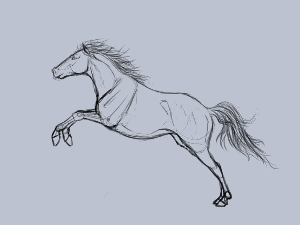 Amazing How To Draw A Horse Jumping of all time Learn more here 