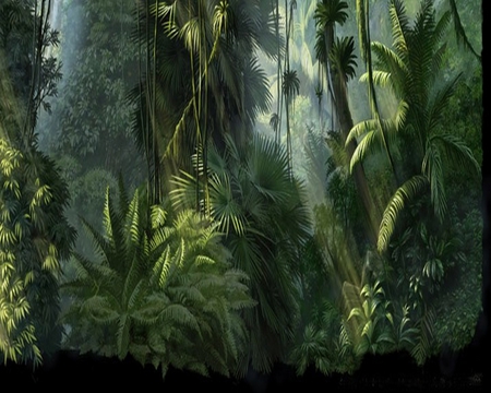 Jungle Background Drawing at GetDrawings | Free download