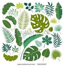Jungle Leaf Drawing at GetDrawings | Free download