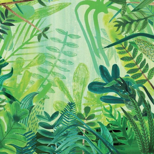 Jungle Plants Drawing at GetDrawings Free download