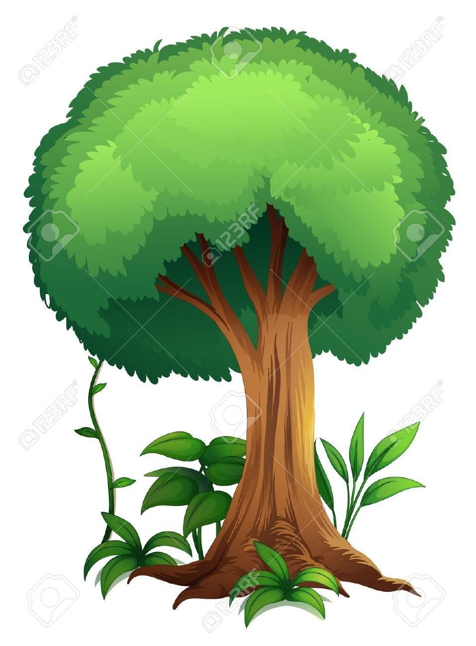 Jungle Tree Drawing at GetDrawings Free download