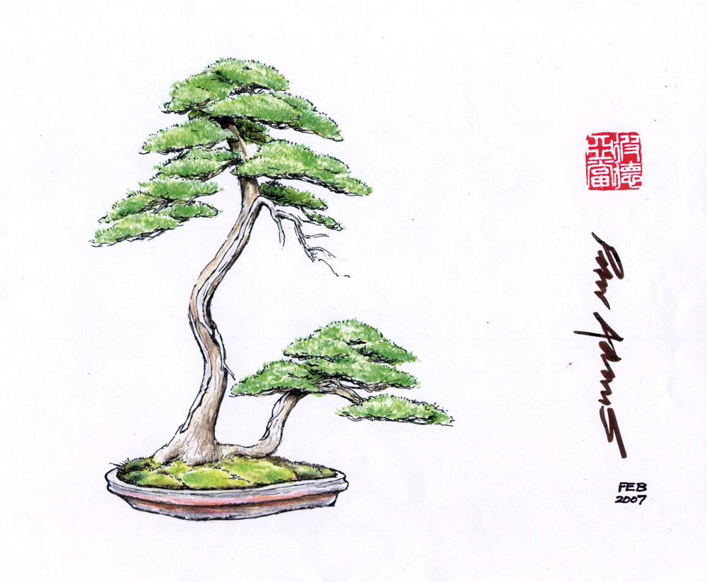 Juniper Tree Drawing at GetDrawings | Free download