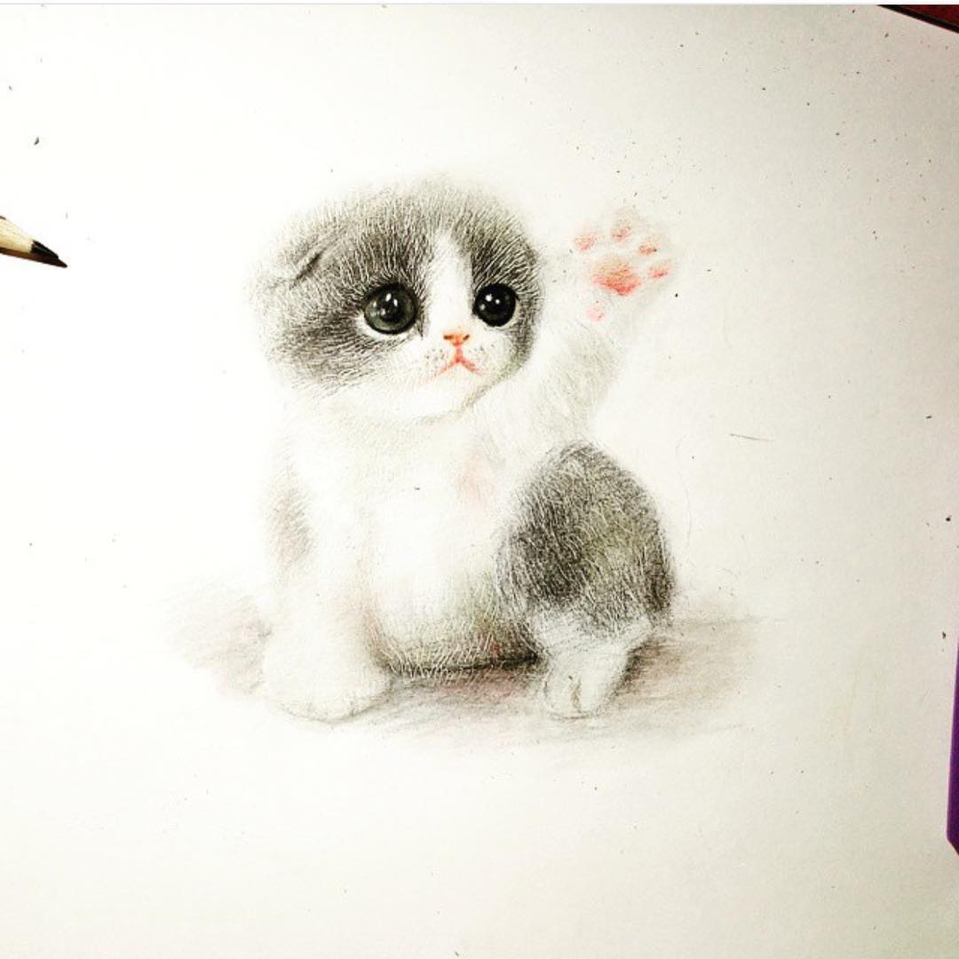 Kitten Pencil Drawing at GetDrawings | Free download