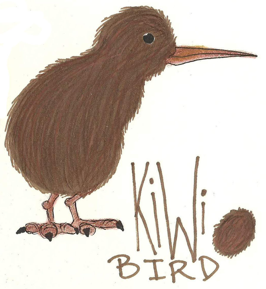 Kiwi Bird Drawing at GetDrawings | Free download