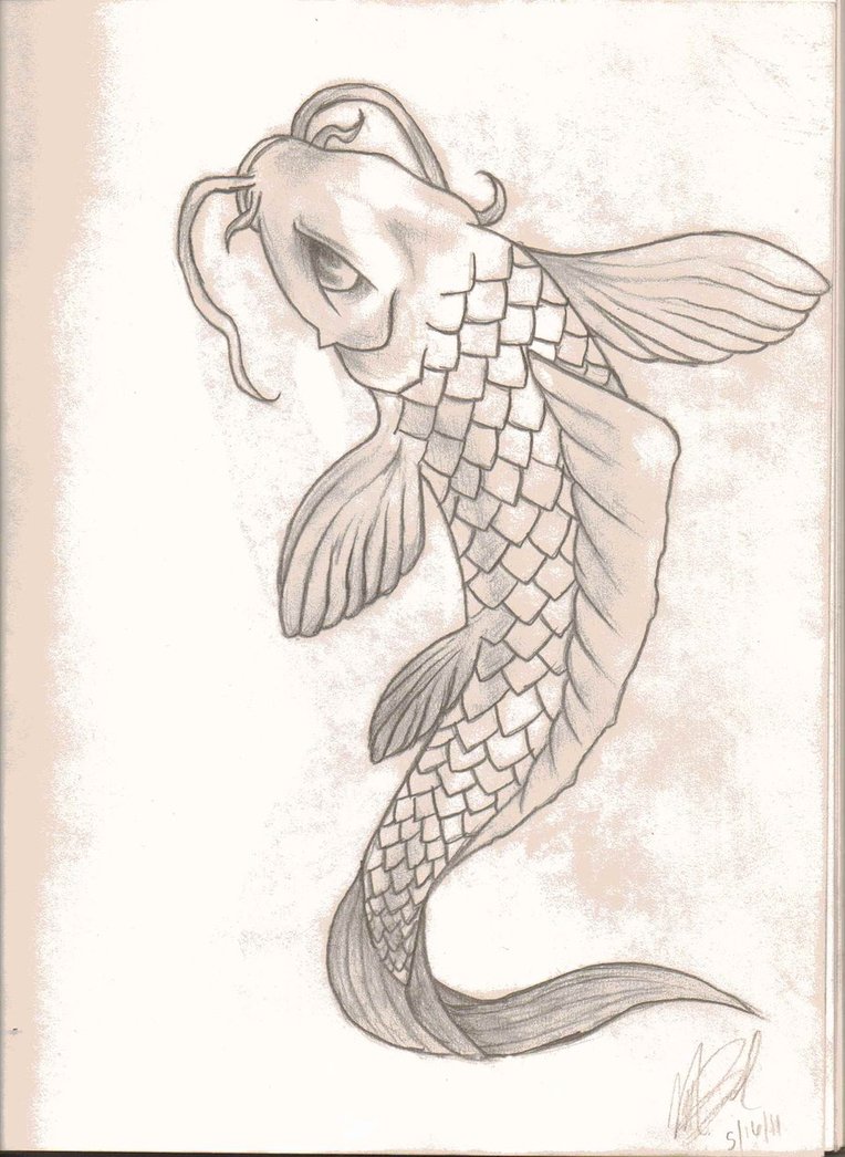 How To Draw A Realistic Koi Fish imgzit