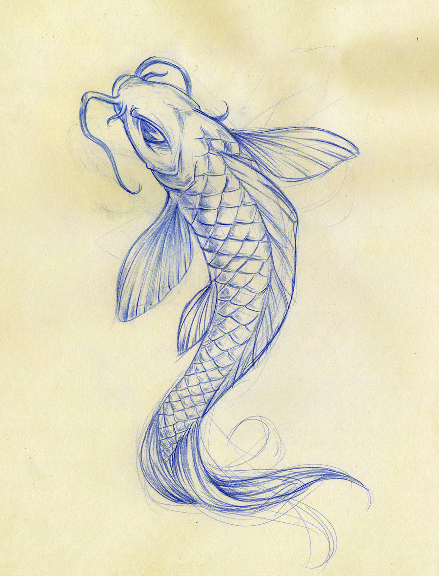 Koi Fish Drawing Tumblr at GetDrawings | Free download