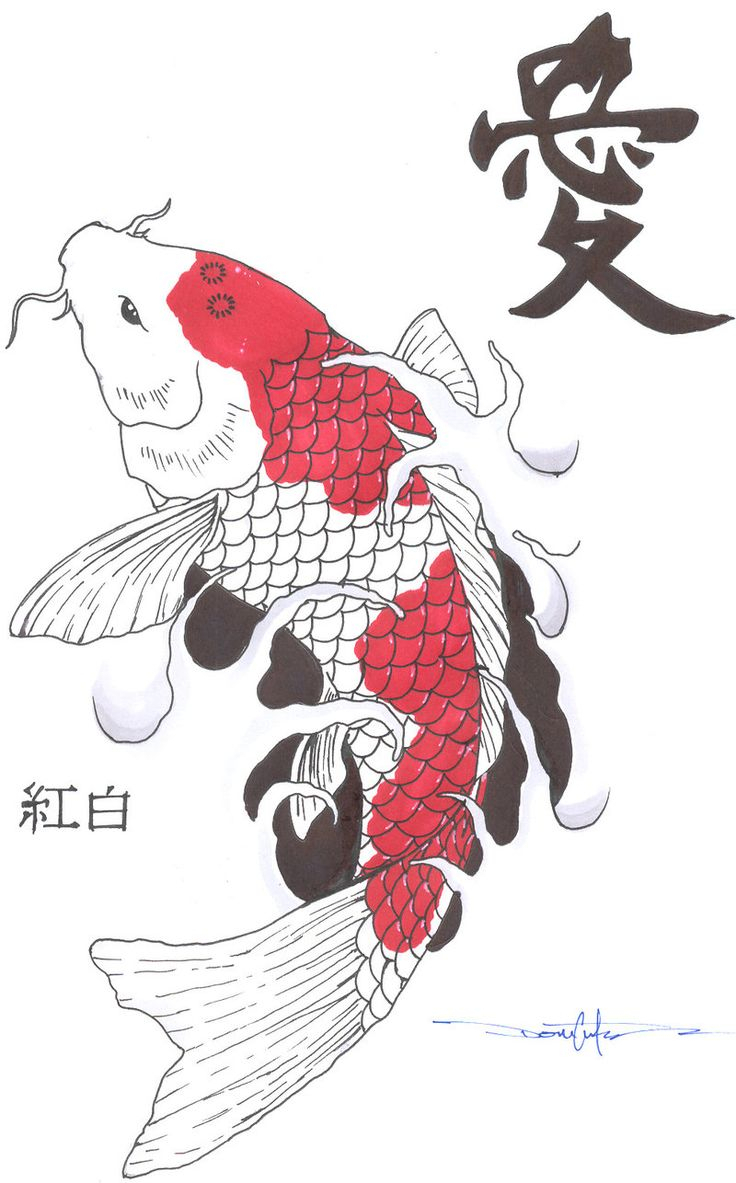 Koi Fish Drawing Tutorial at GetDrawings | Free download