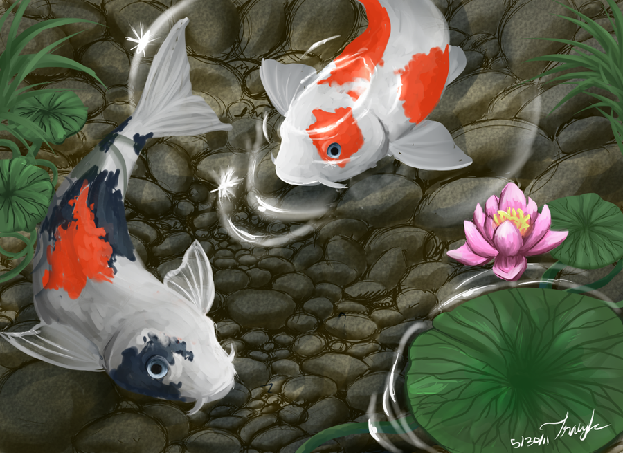 Koi Fish Pond Drawing at GetDrawings Free download