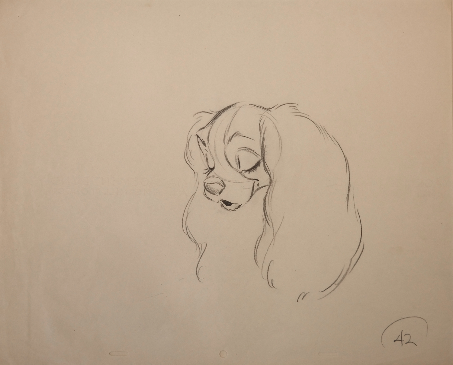 Lady And The Tramp Drawing at GetDrawings Free download