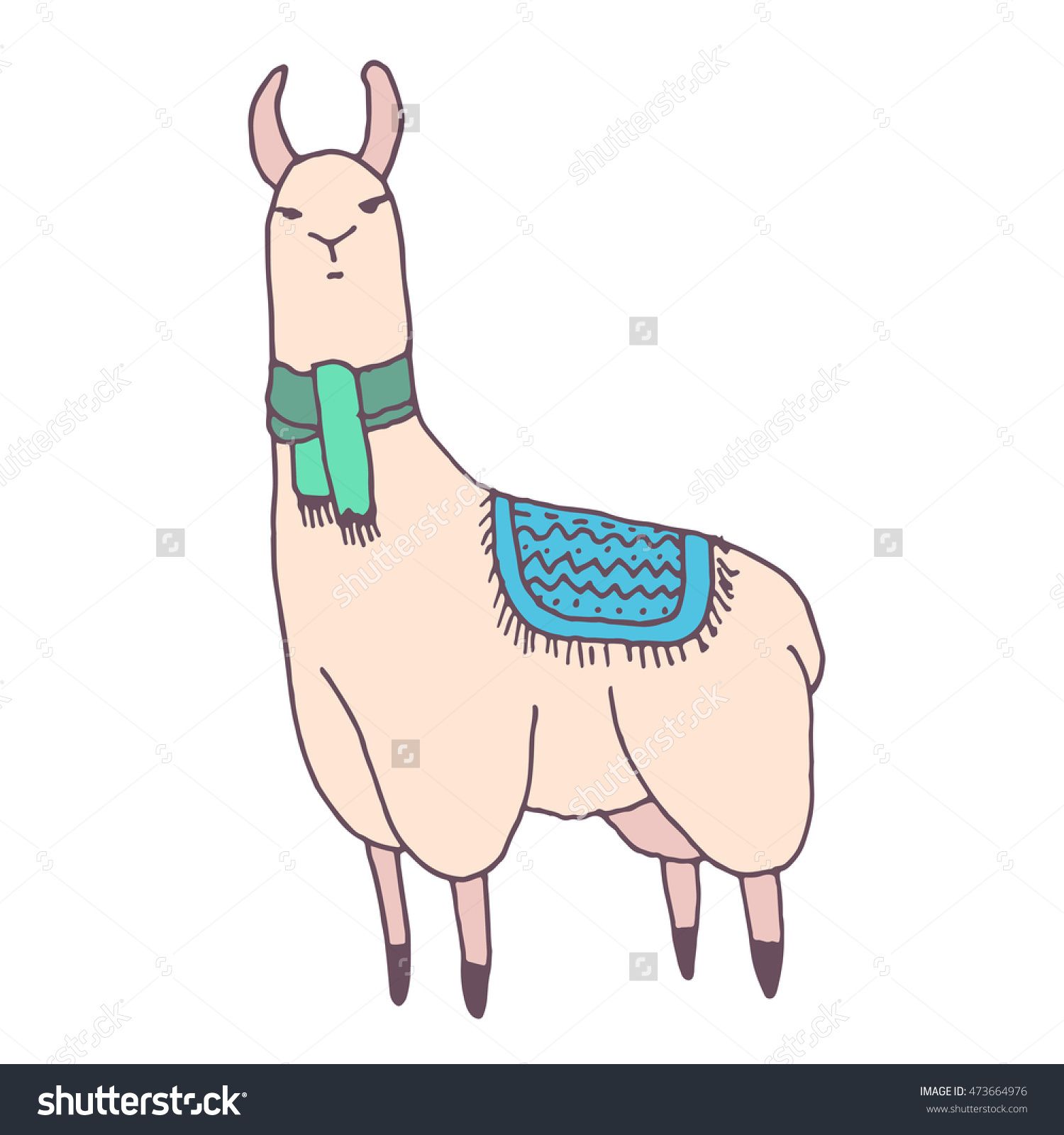 Lama Drawing at GetDrawings | Free download