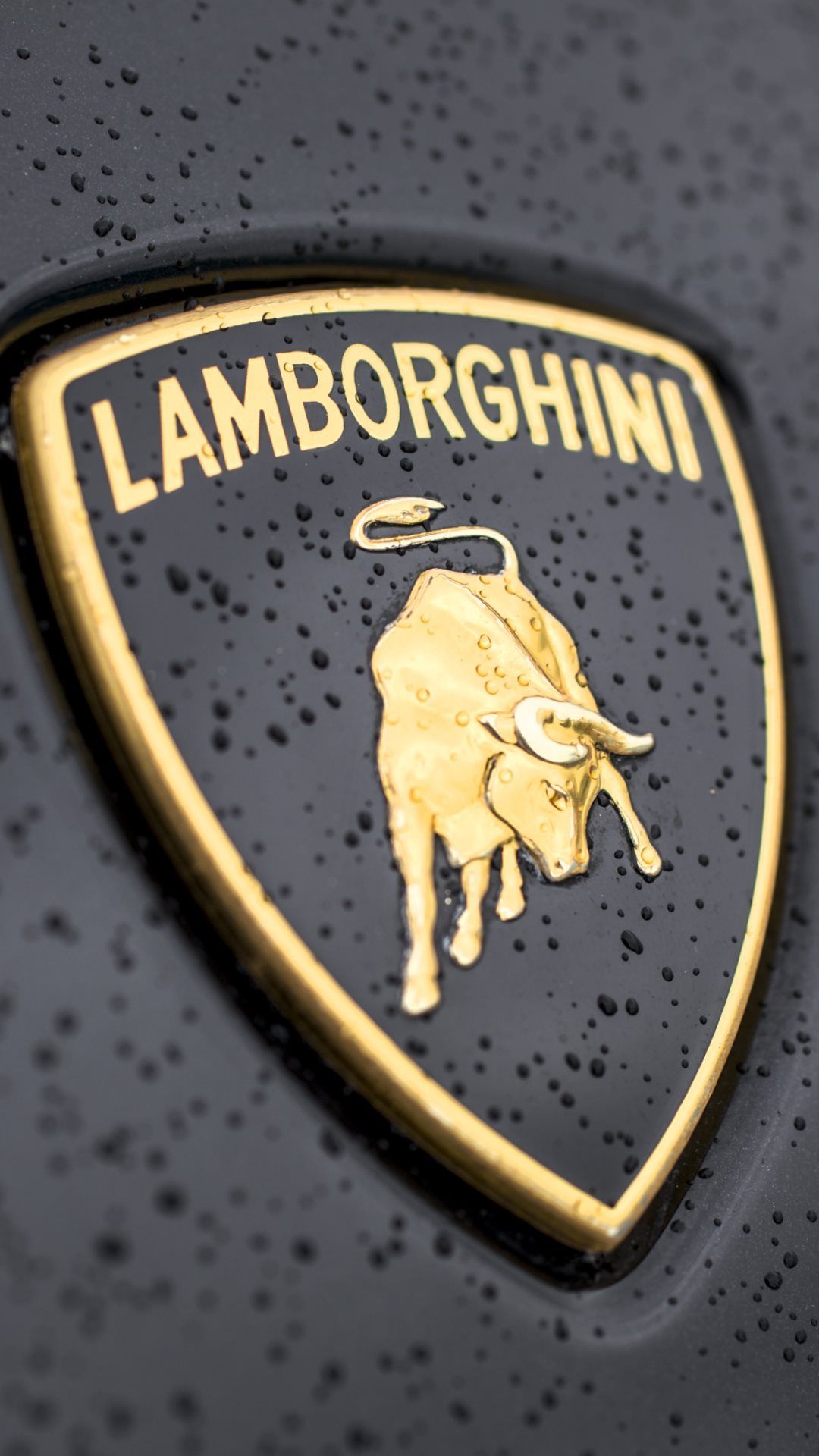 Lamborghini Logo Drawing At Getdrawings Free Download