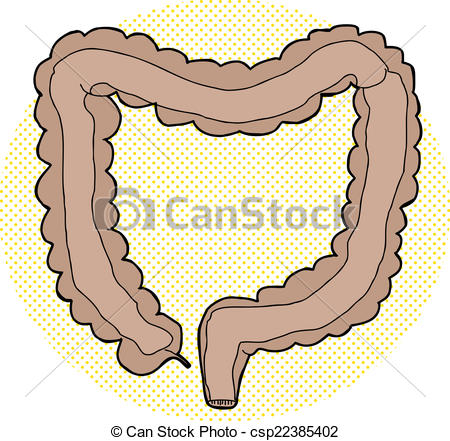 Large Intestine Drawing At GetDrawings | Free Download