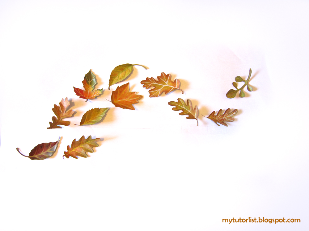 Leaves Blowing In The Wind Drawing at GetDrawings Free download