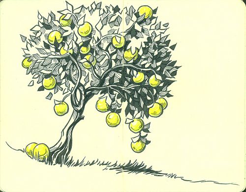 Lemon Tree Drawing At Getdrawings Free Download