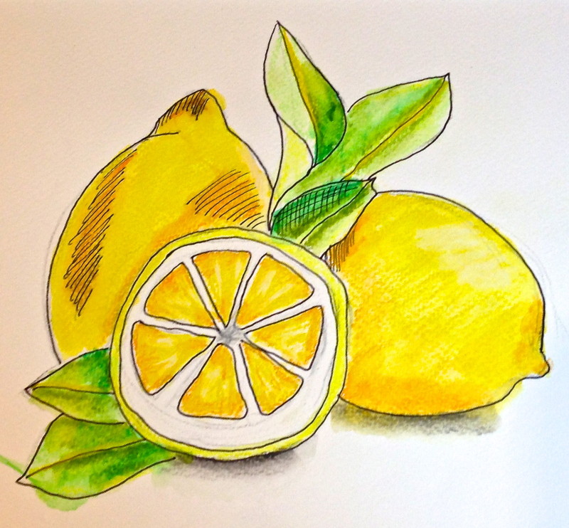 Lemon Drawing Tutorial