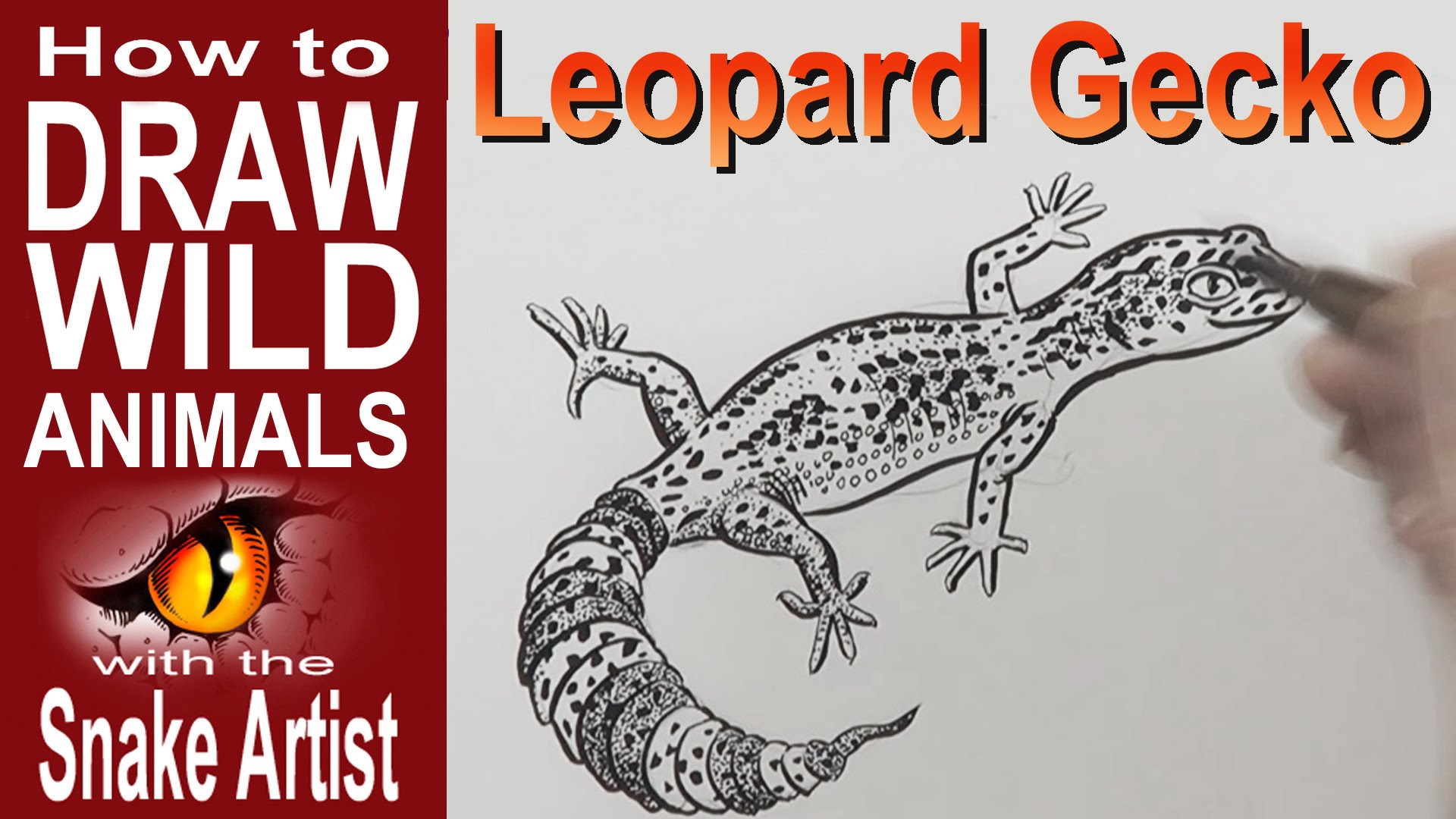 Leopard gecko name generator