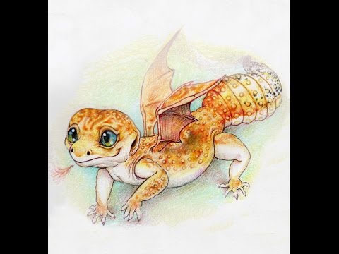 How To Draw A Gecko Step By Step Easy
